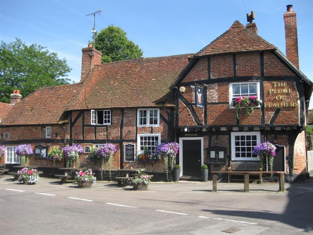 The Plume Of Feathers Farnham  Eksteriør billede